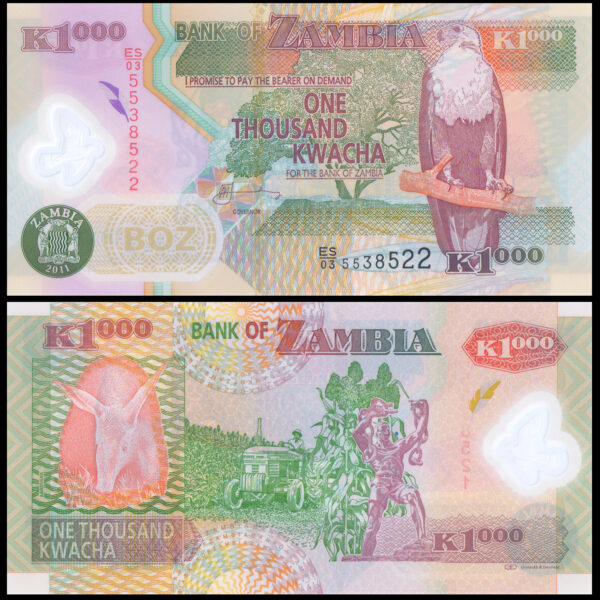 Zambia 1000 Kwacha Bank of Zambia 2011 44h Polymer Banknote